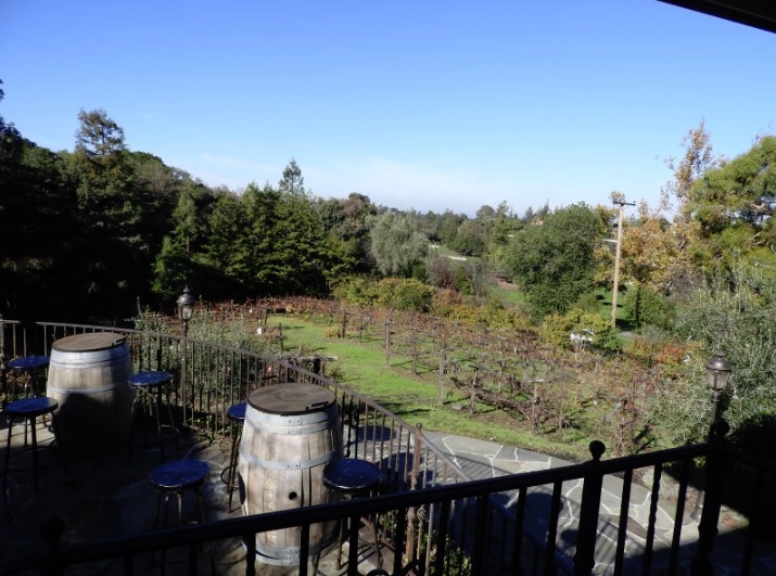 Bob Noyce's backyard.