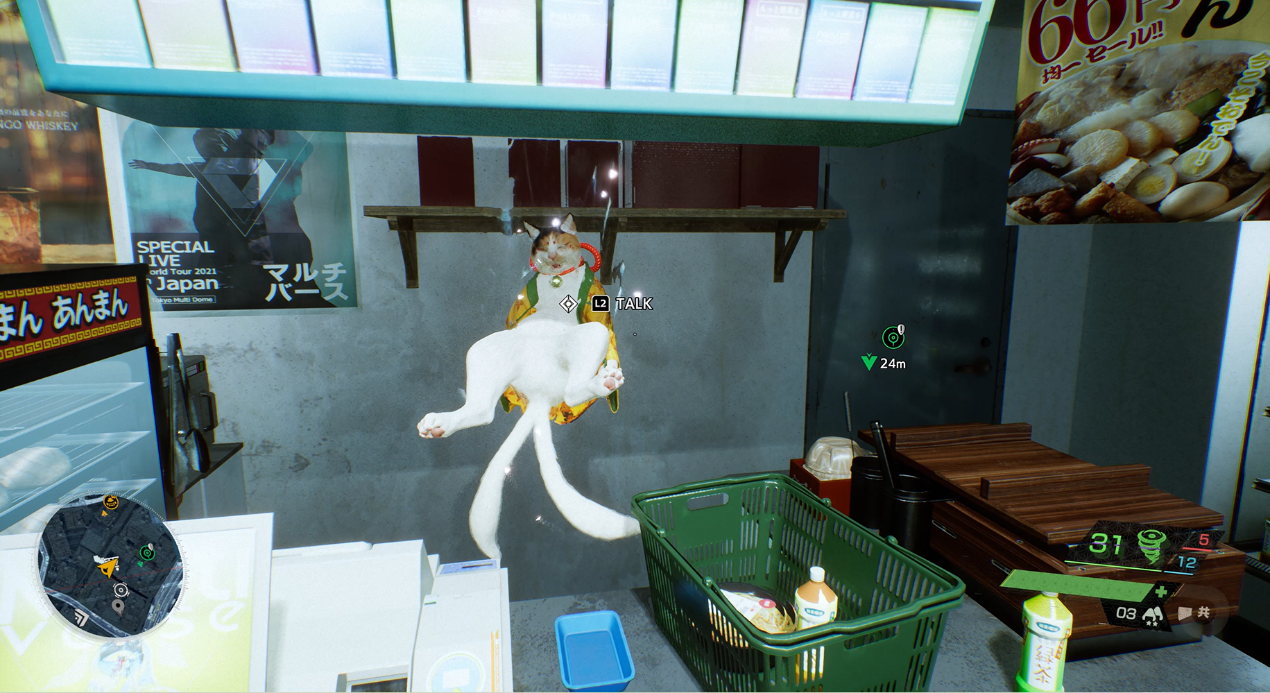 We've finally turned the bodegas over to the cats.