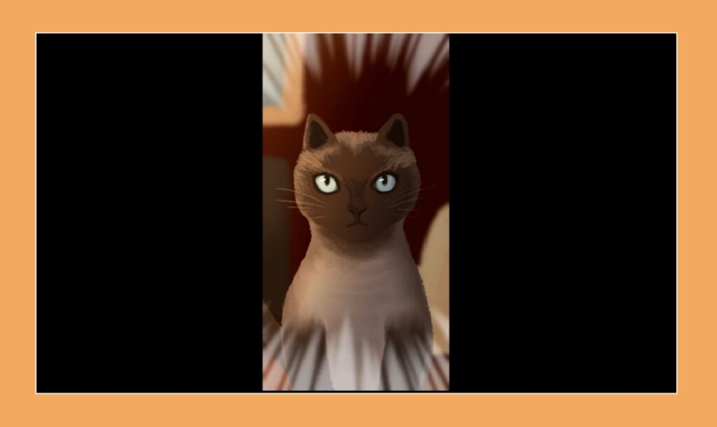 Cats Your Vote