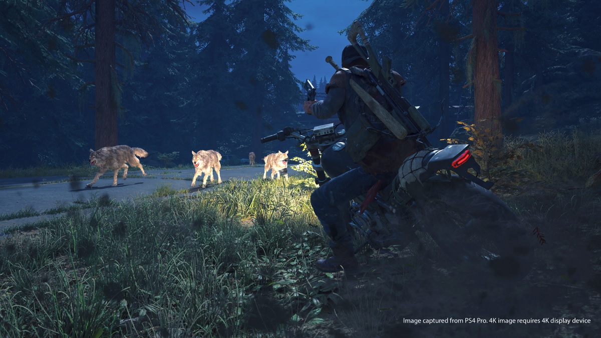 Days Gone has many dangers, like these wolves.