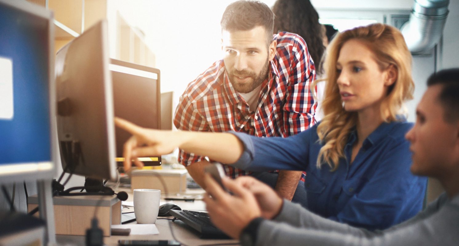 picture showing male and female application developers at work.