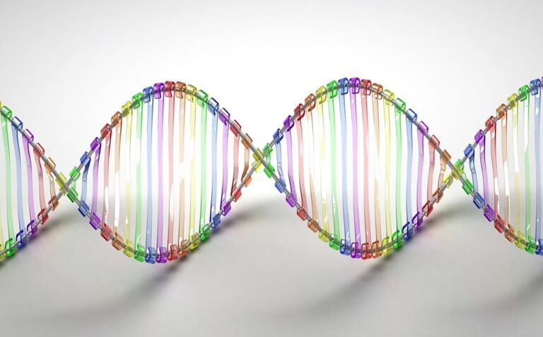 Can DNA be used to store data?