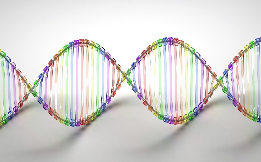 Can DNA be used to store data?