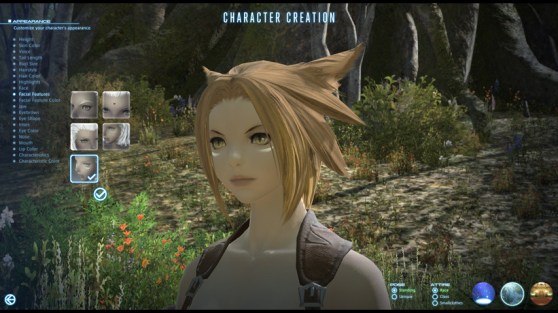 FINALFANTASY_XIV_ARR_PC_ALPHA_CHARAMAKE_03
