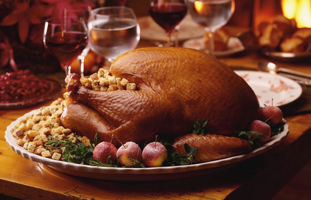 Thanksgiving turkey