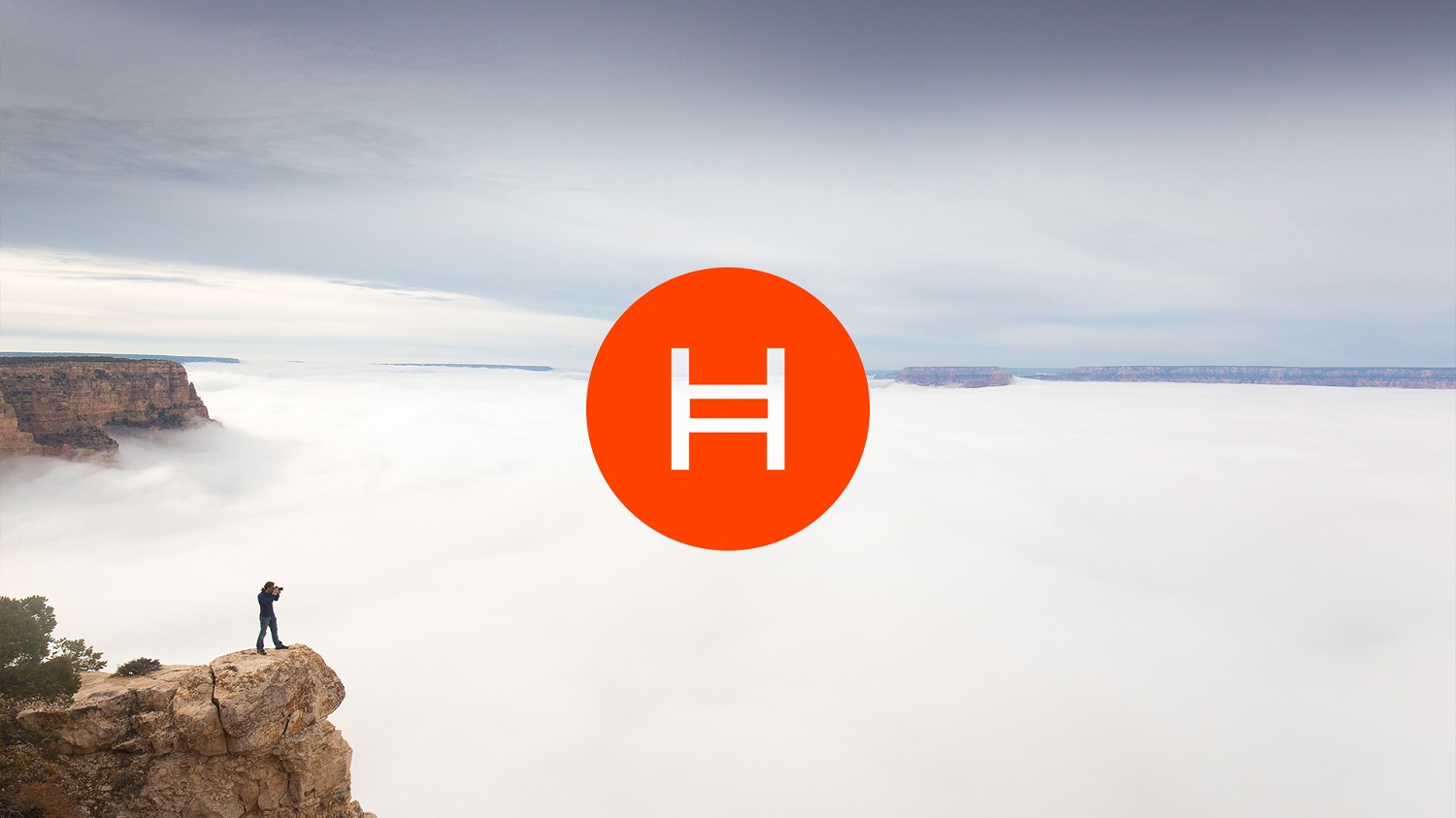 Hedera Hashgraph wants to transform blockchain with something new.