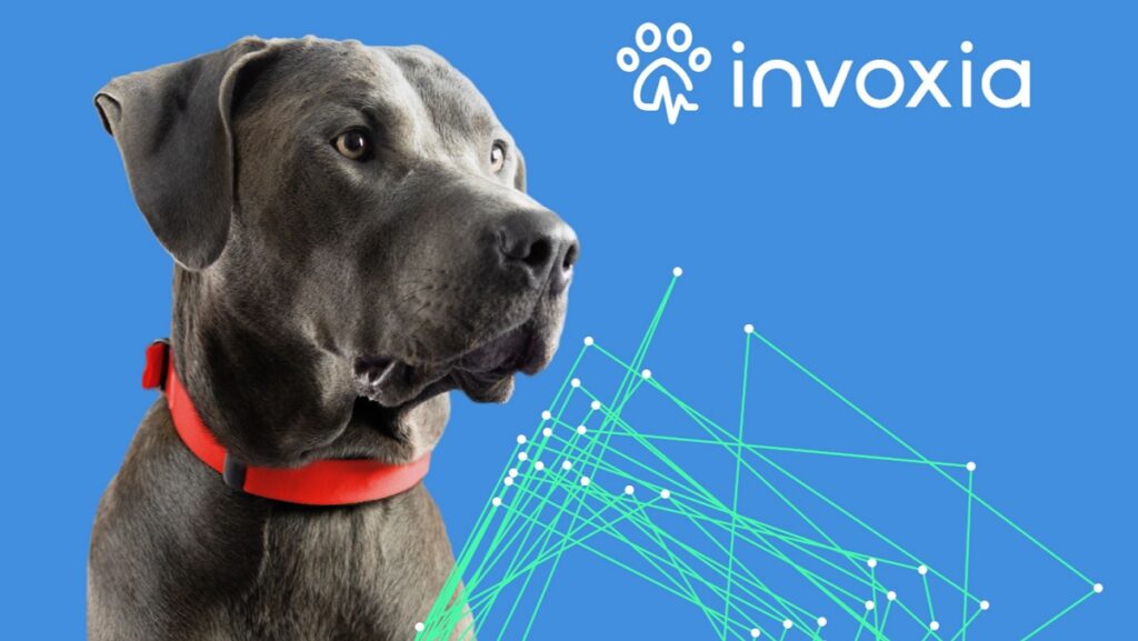 Invoxia's smart dog collar ships in Q1 2023.
