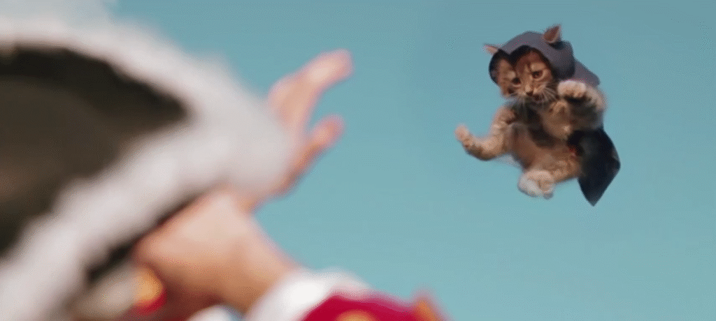Here is a video of a bunch of Assassin's Creed kittens