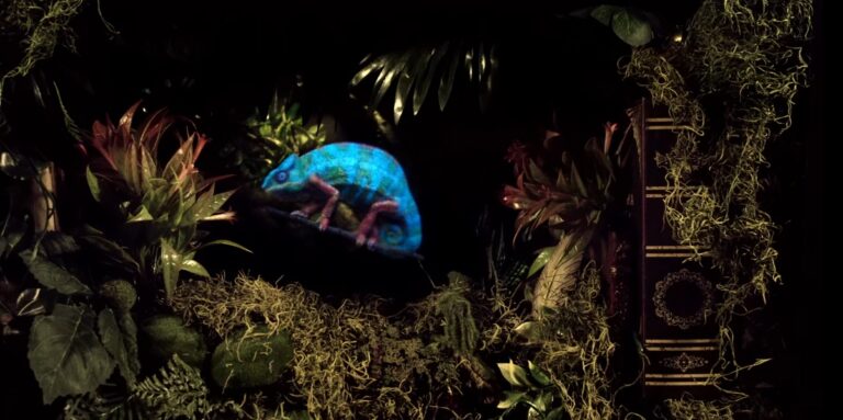 Light Field Lab embeds a hologram in a 3D space.