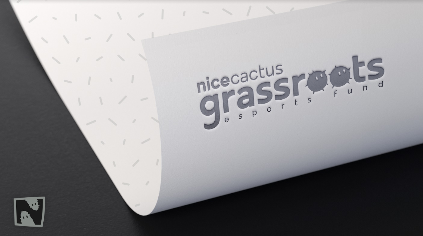 Nice Cactus is offering rewards for skilled esports players.