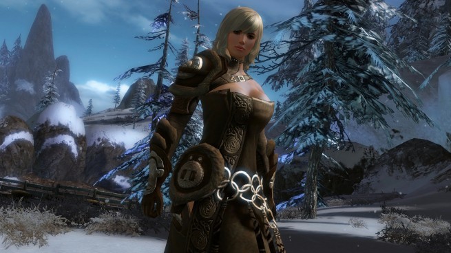 Guild Wars 2 beta weekend event error code