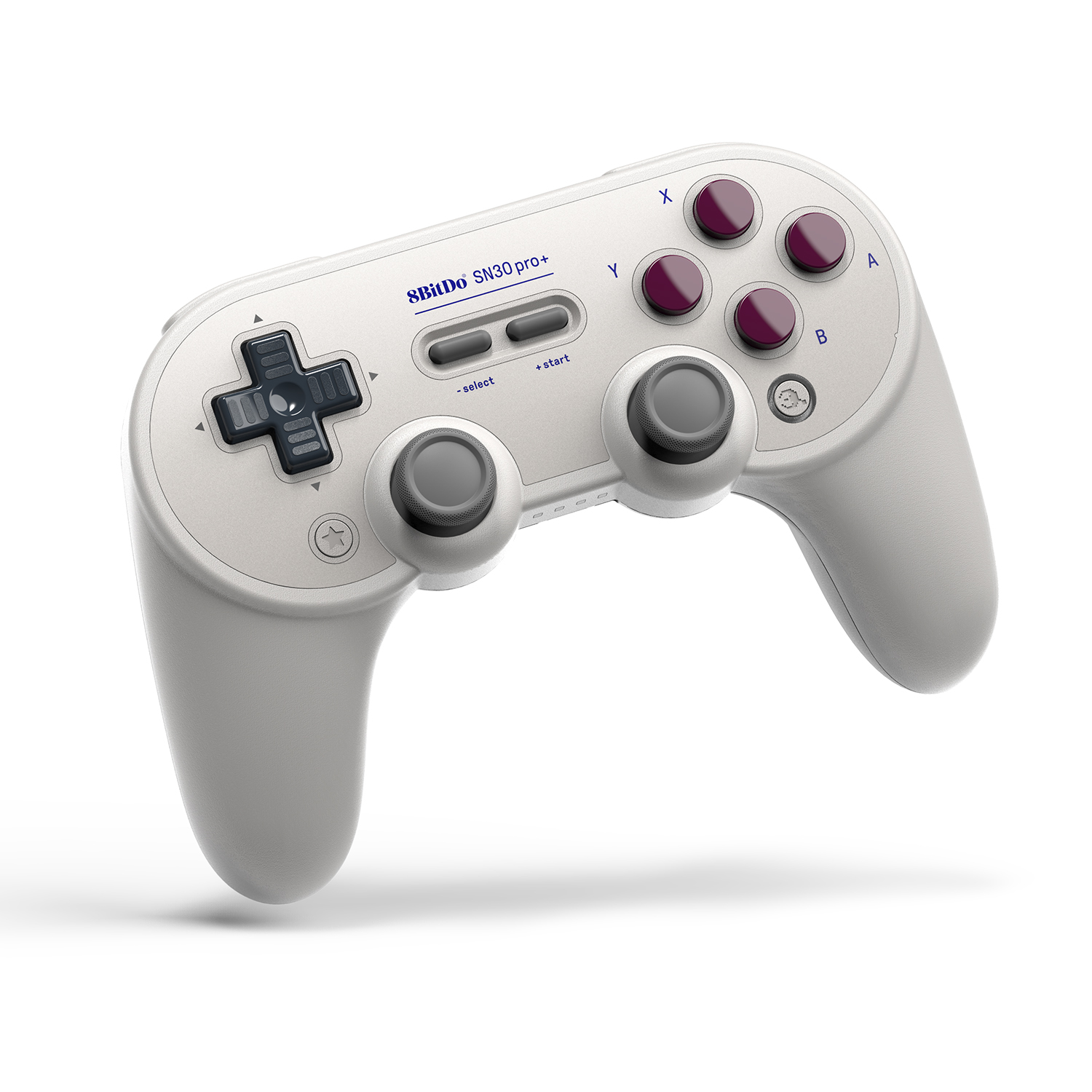 The 8BitDo Pro+ gamepad.