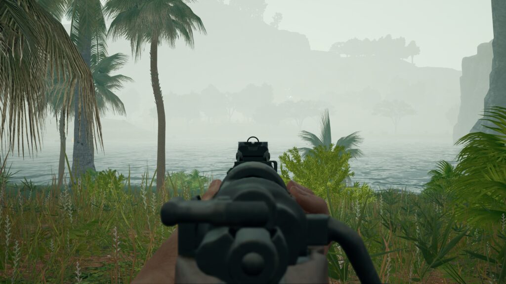 Fog in a match on Savage.
