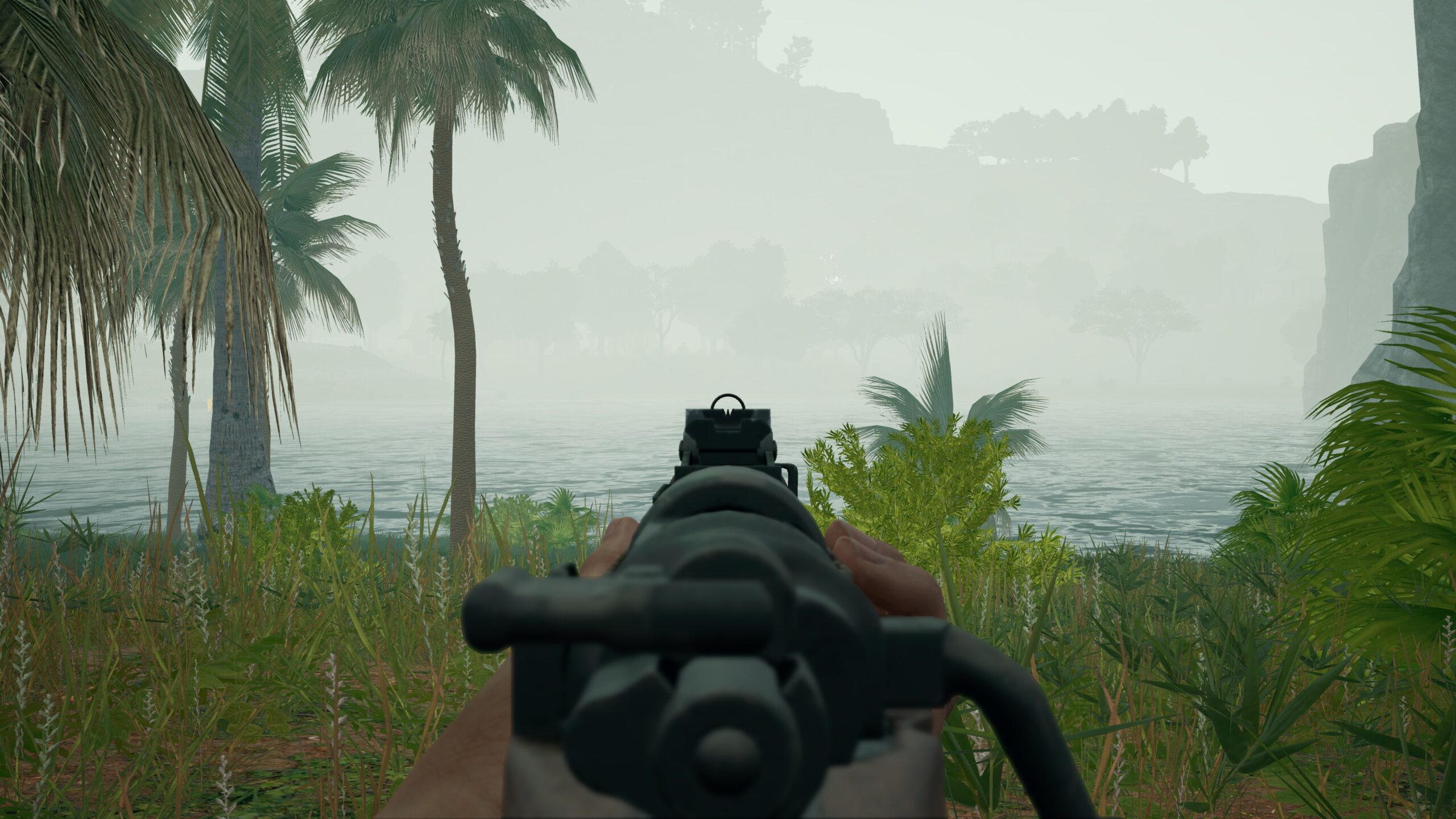 Fog in a match on Savage.