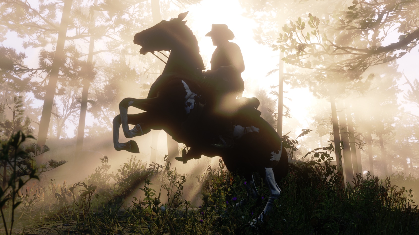 Red Dead Redemption 2 has amazing visuals.
