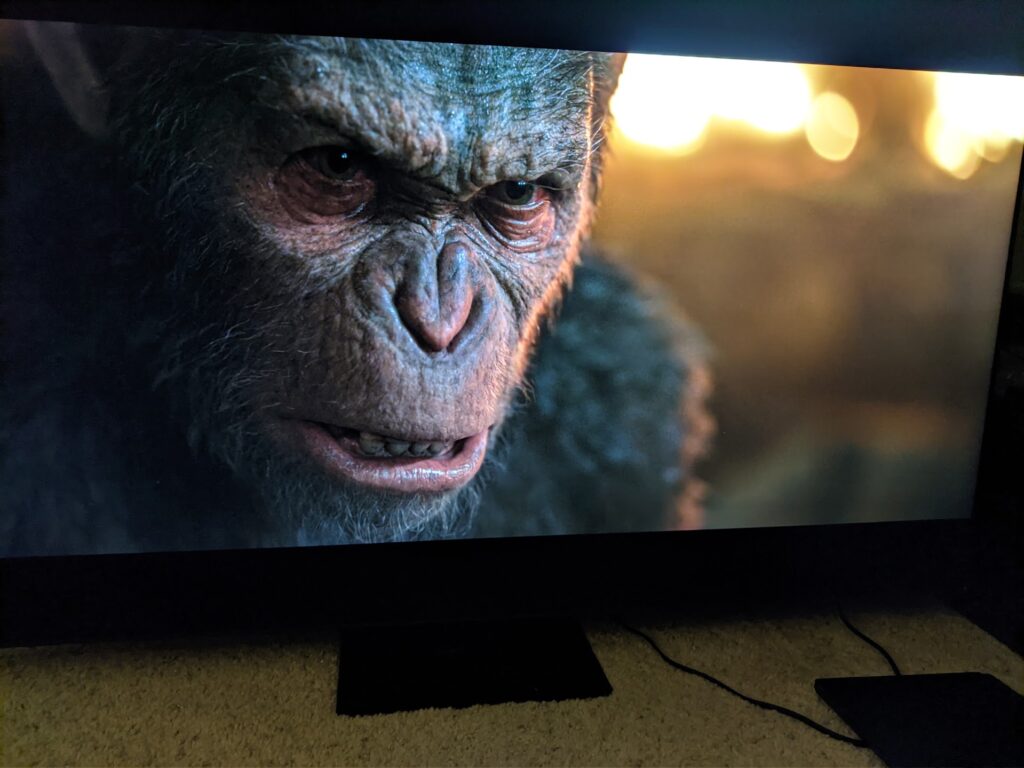 That's one pretty-looking monkey.
