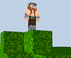 A Minecraft skin