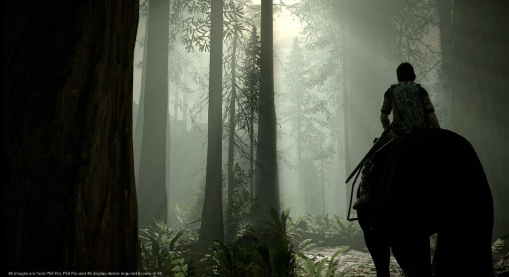 Shadow of the Colossus remake review — they never made games like this