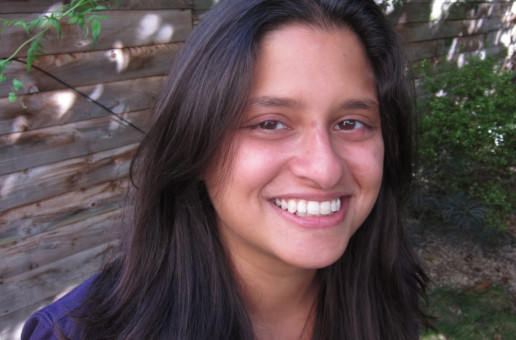 Sitar Teli