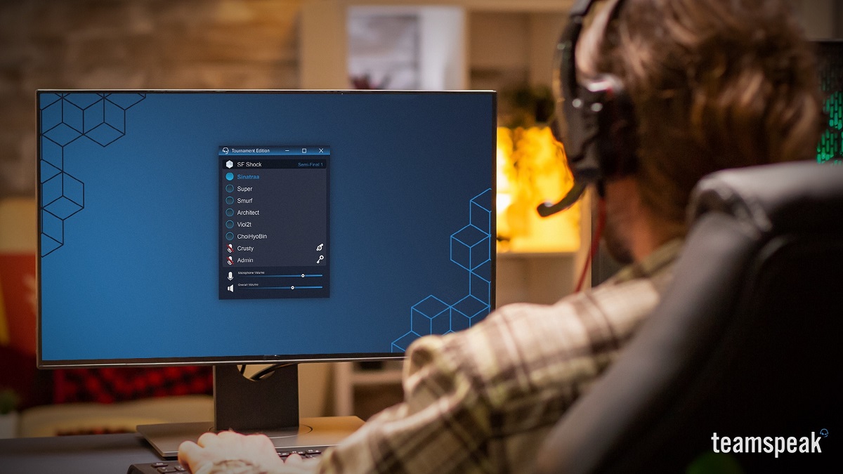 TeamSpeak offers voice chat for gamers.