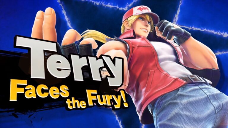 Terry in Smash.