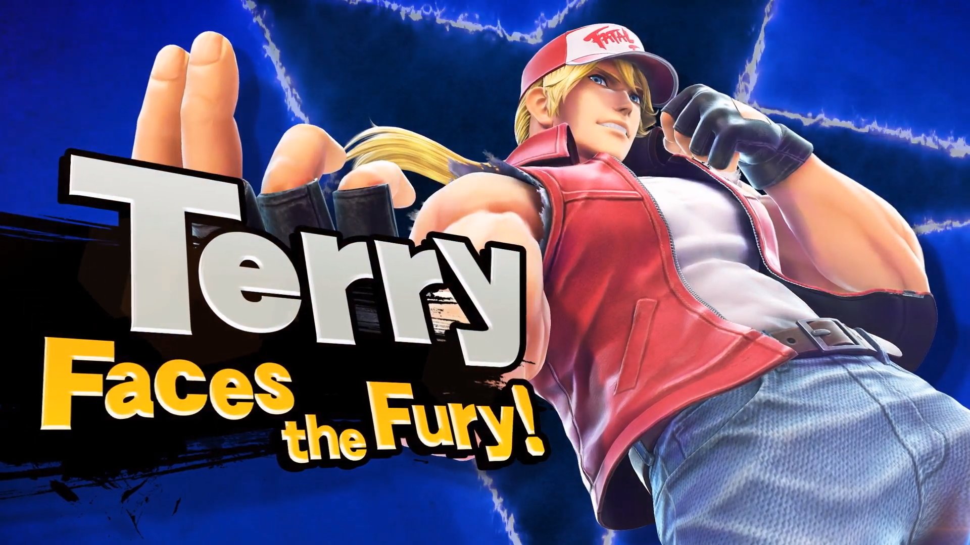 Terry in Smash.