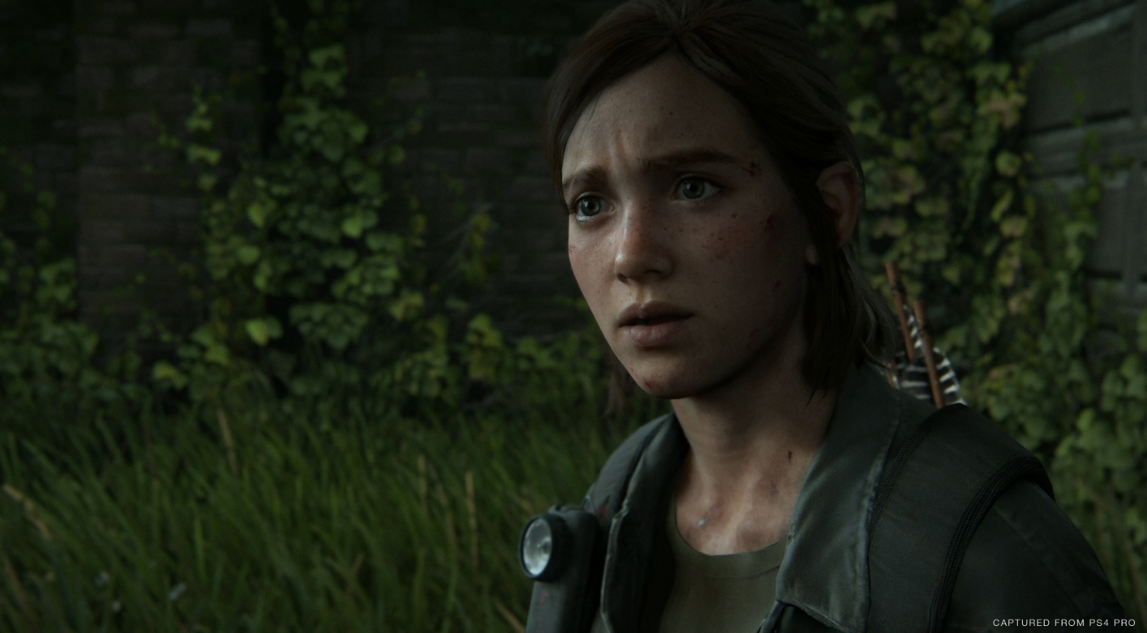 Ellie's look of surprise.