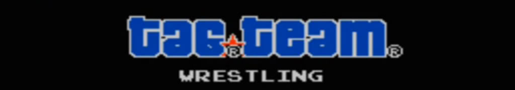 Tag Team Wrestling Title