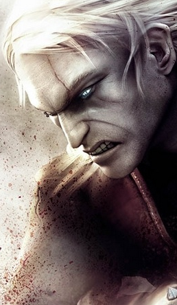 The Witcher
