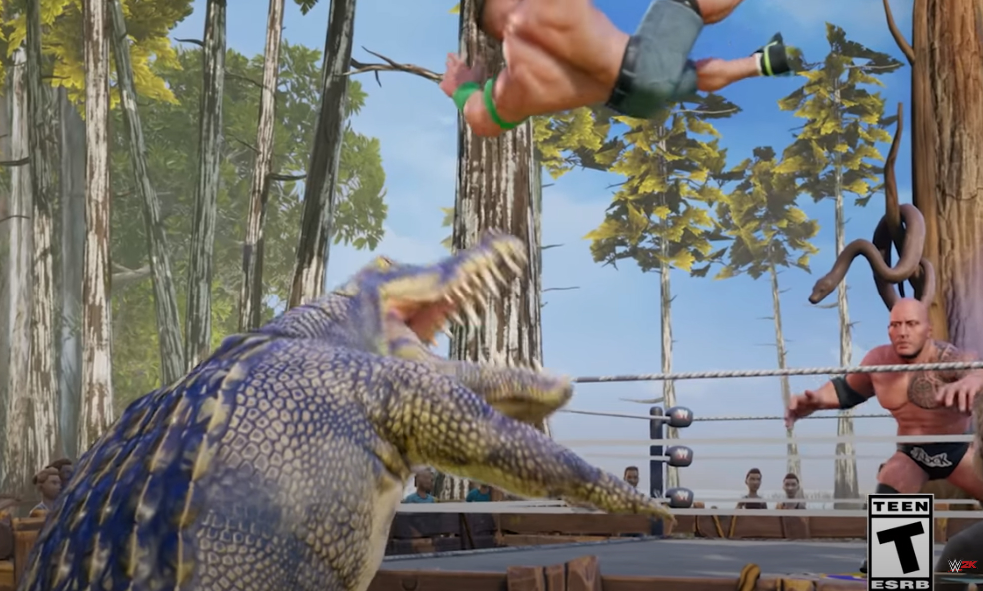 WWE 2K Battlegrounds.