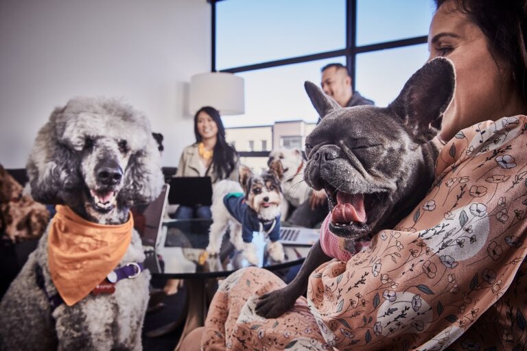 Portrait and lifestyle shoot at Zynga's headquarters, San Francisco, CA, April 24-25, 2019. Pictured: a large group meeting with employees and their dogs.