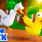 Duck Duck
