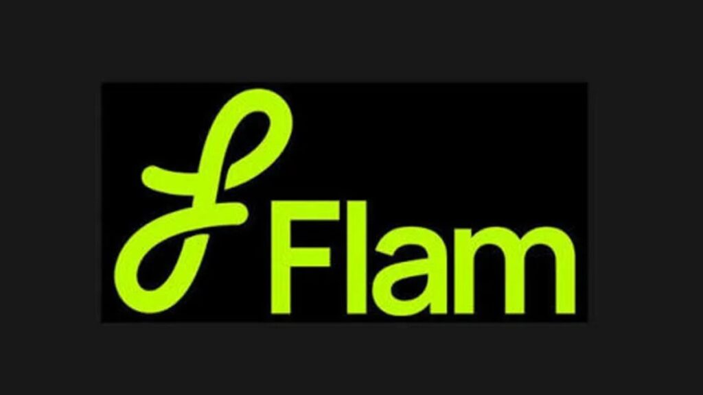 Flam raises $40M to build AI models for interactive AI videos